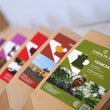 Cargar imagen en el visor de la galería, Set de Cafés Carajillo
