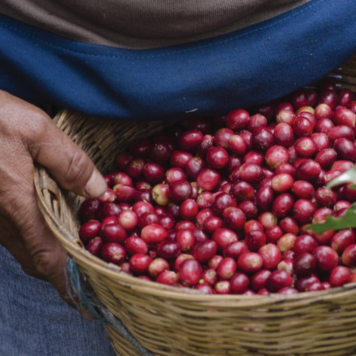 Café Los Altos